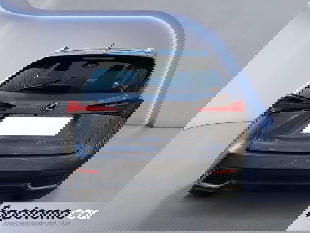 Lexus NX usata a Milano (4)