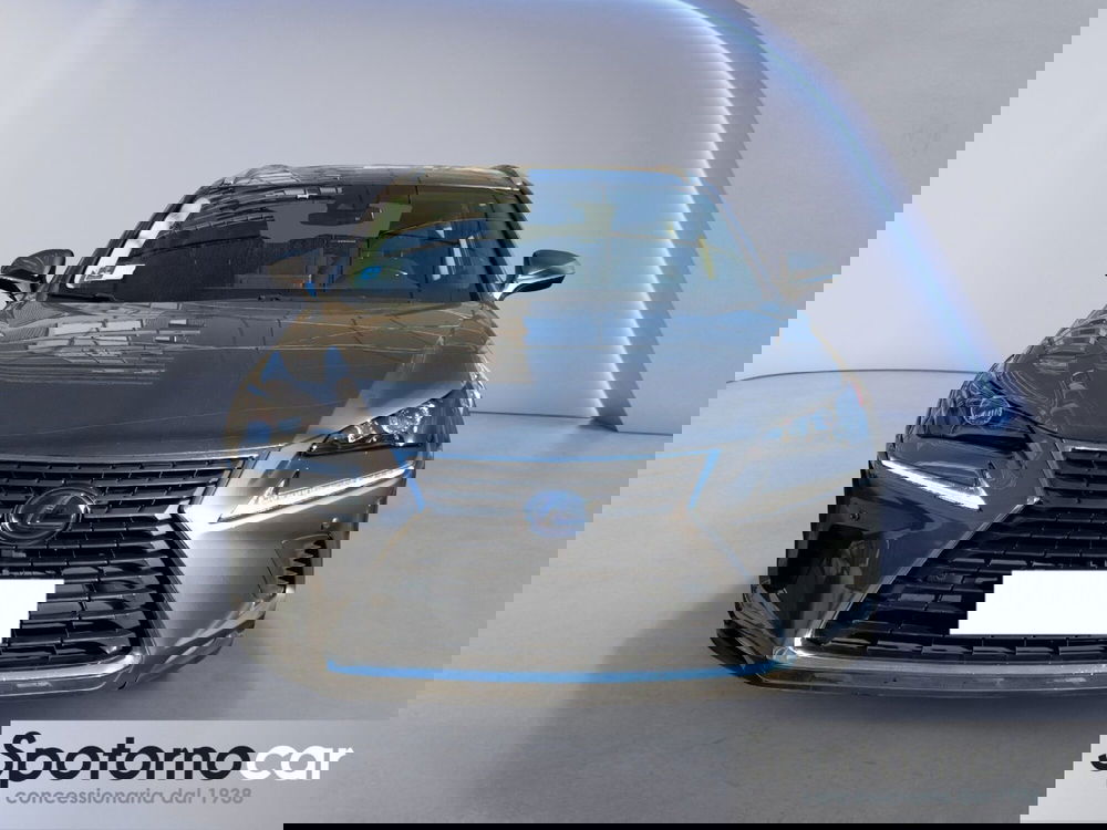 Lexus NX usata a Milano (5)