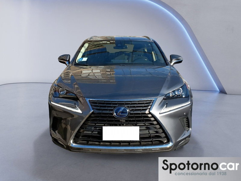 Lexus NX usata a Milano (5)