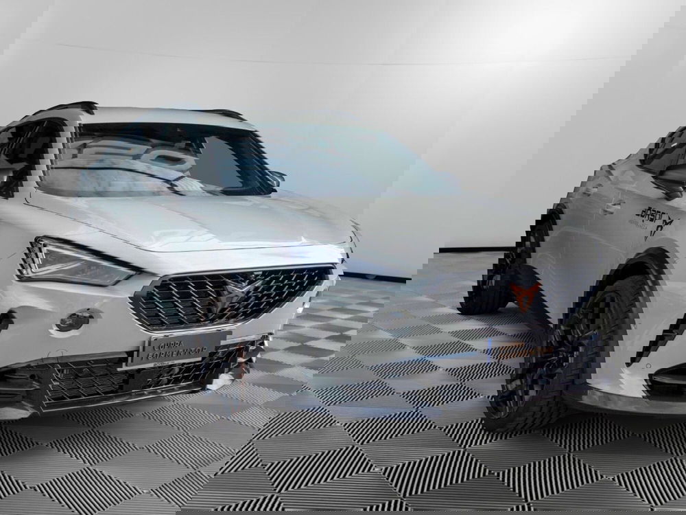 Cupra Formentor usata a Treviso (7)