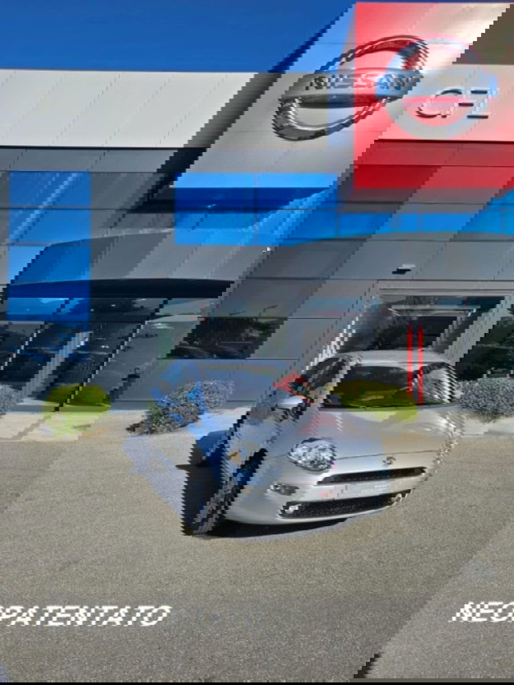 Fiat Punto usata a Lucca