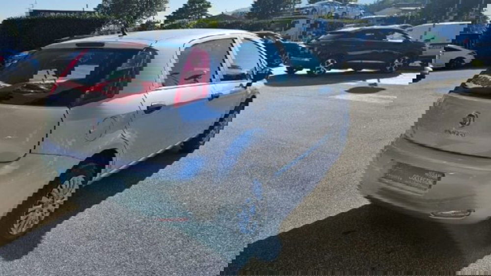 Fiat Punto usata a Lucca (4)