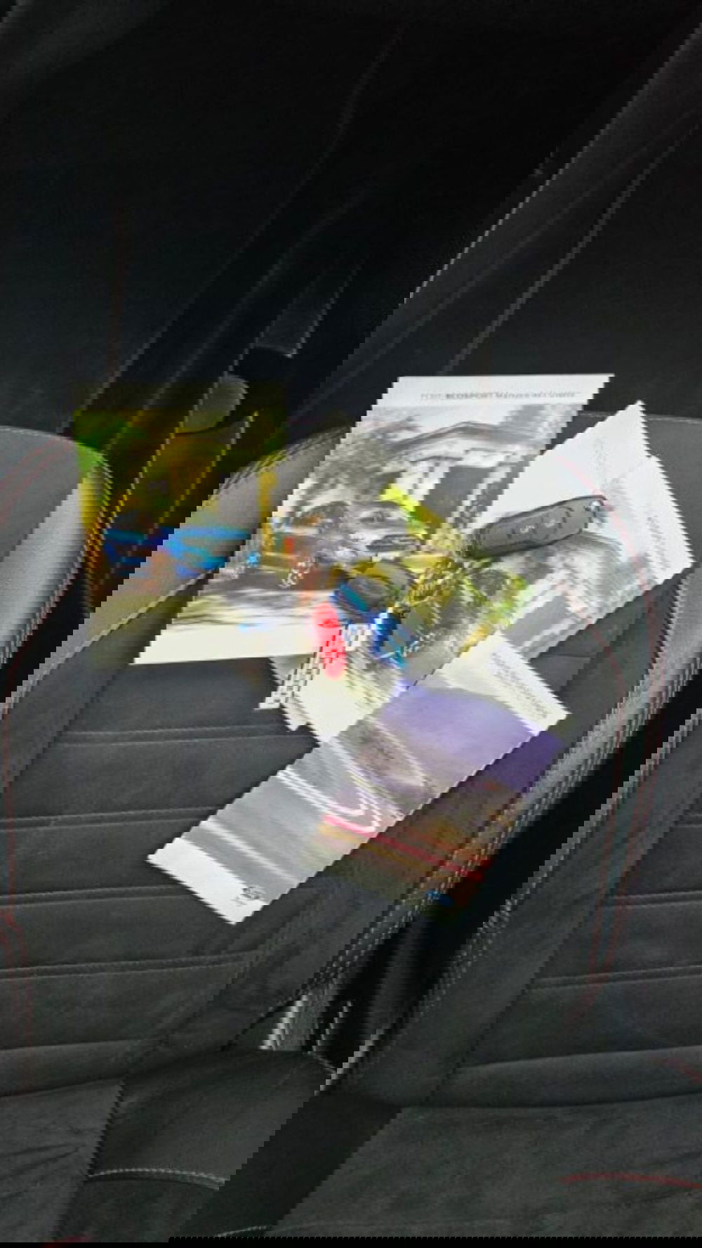 Ford EcoSport usata a Lucca (10)