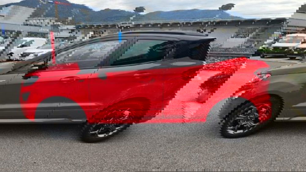 Ford EcoSport usata a Lucca (7)