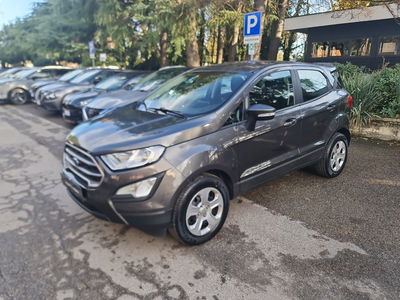 Ford EcoSport 1.0 EcoBoost 100 CV Business del 2020 usata a San Lazzaro di Savena