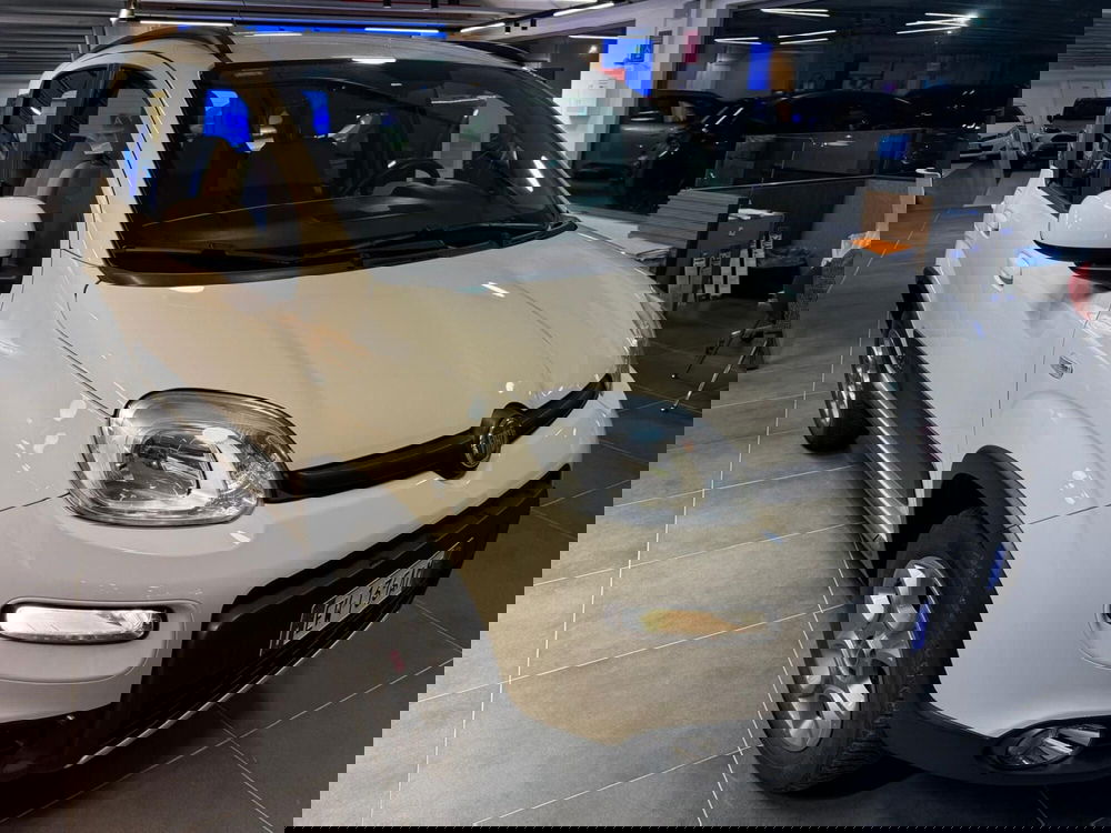 Fiat Panda usata a Modena (3)