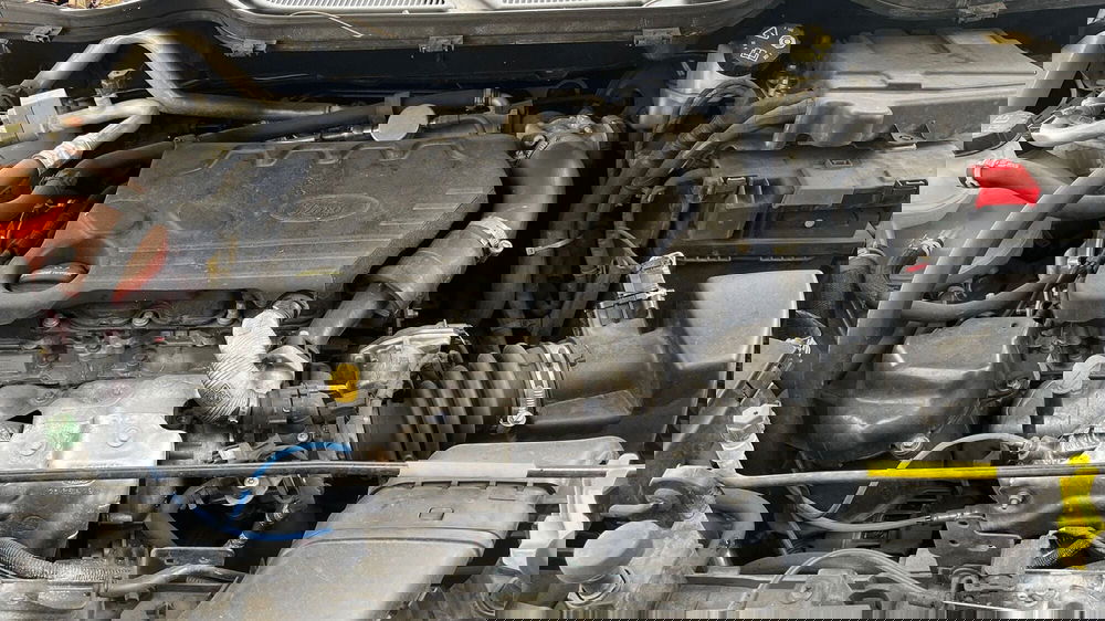 Ford EcoSport usata a Parma (17)