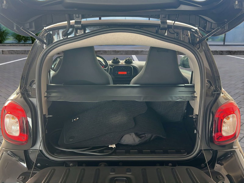 smart Fortwo usata a Cosenza (18)