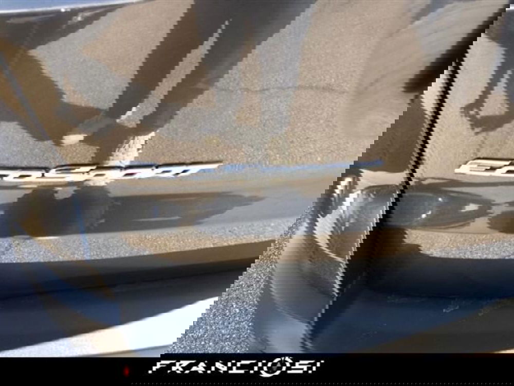 Ford EcoSport usata a Modena (13)