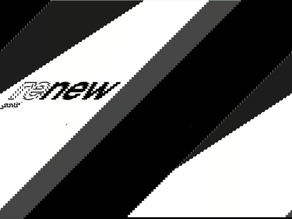 Renault Arkana usata a Modena (19)