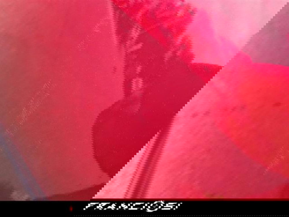 Renault Zoe usata a Modena (16)