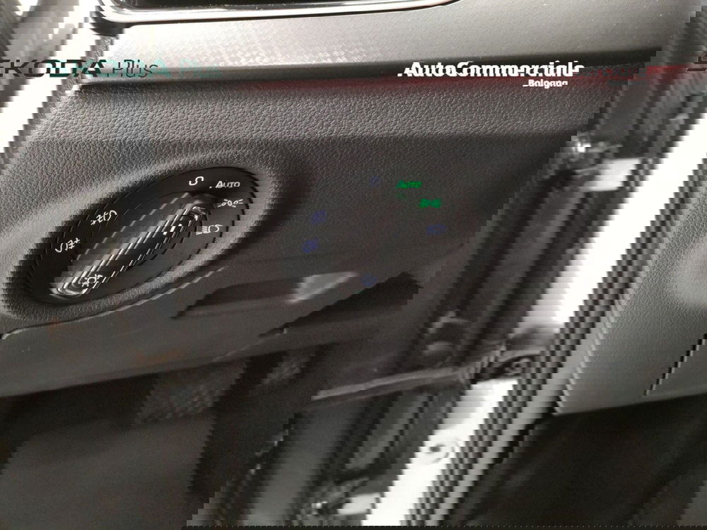 Skoda Kamiq usata a Bologna (10)