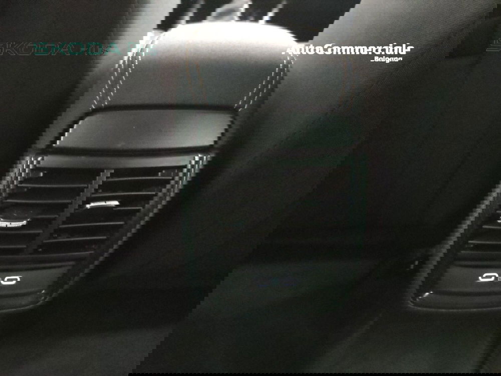 Skoda Kamiq usata a Bologna (16)