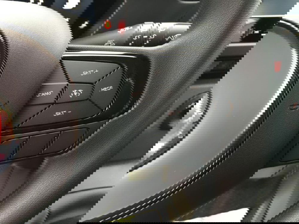 Fiat Panda nuova a Cuneo (12)