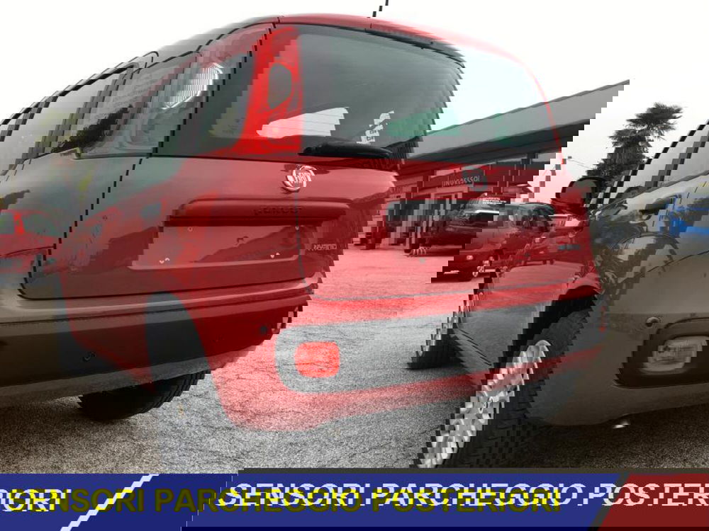 Fiat Panda nuova a Cuneo (5)