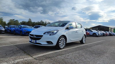 Opel Corsa 1.4 90CV GPL Tech 5 porte Cosmo del 2016 usata a Empoli