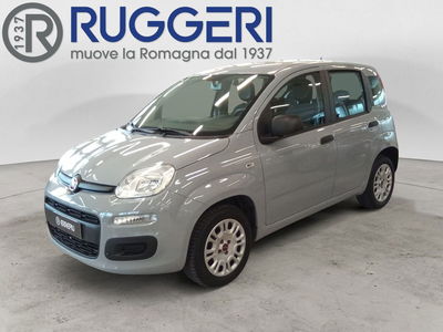 Fiat Panda 1.2 Easy del 2018 usata a Rimini
