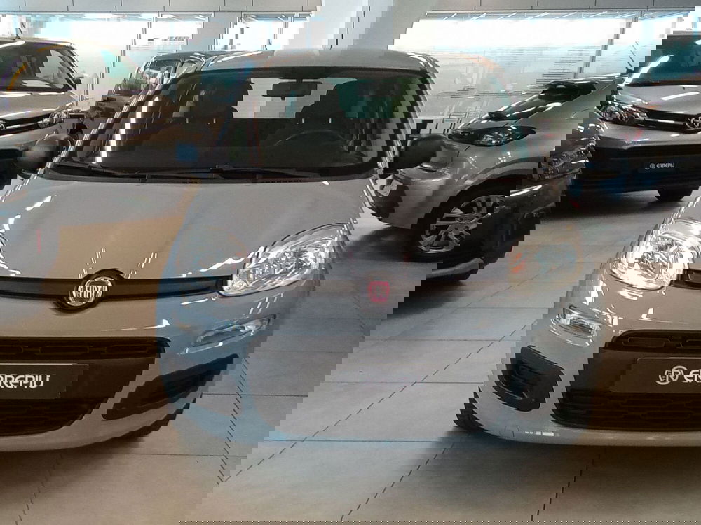 Fiat Panda usata a Rimini (2)