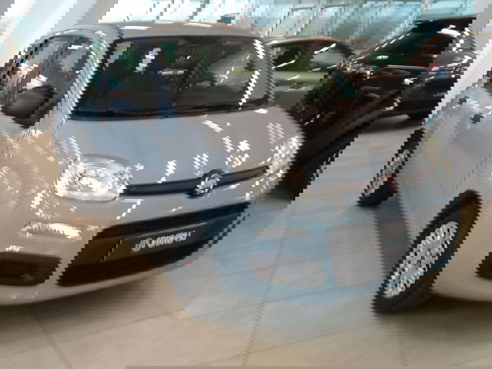 Fiat Panda usata a Rimini (3)