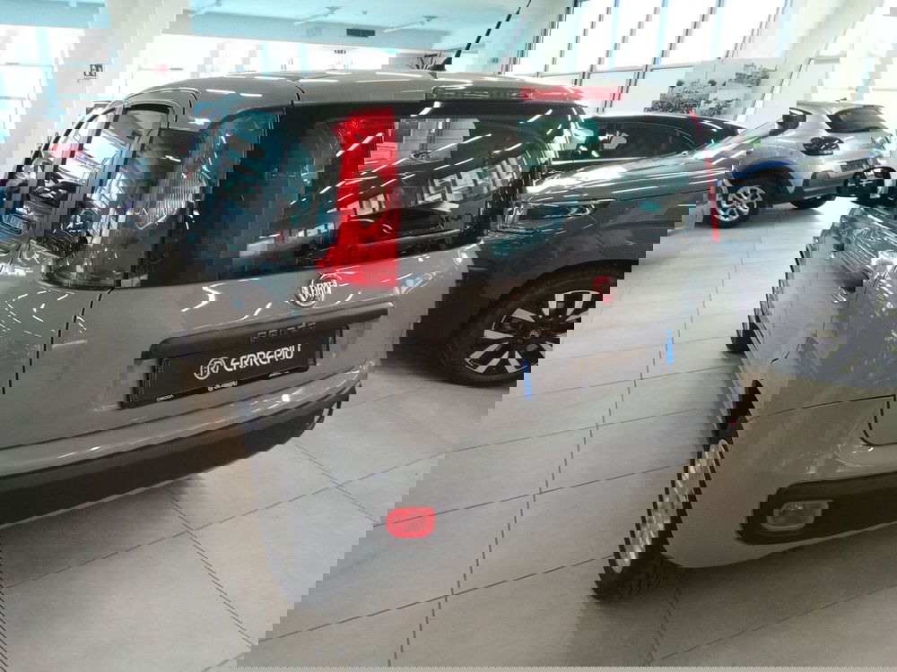 Fiat Panda usata a Rimini (4)