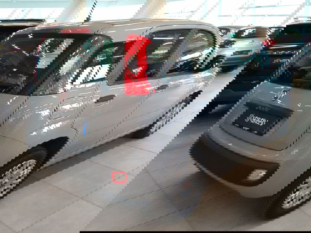 Fiat Panda usata a Rimini (5)