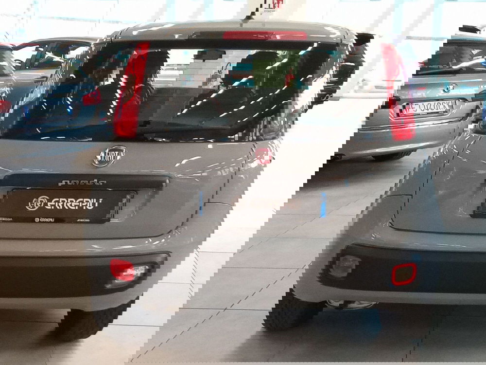 Fiat Panda usata a Rimini (8)