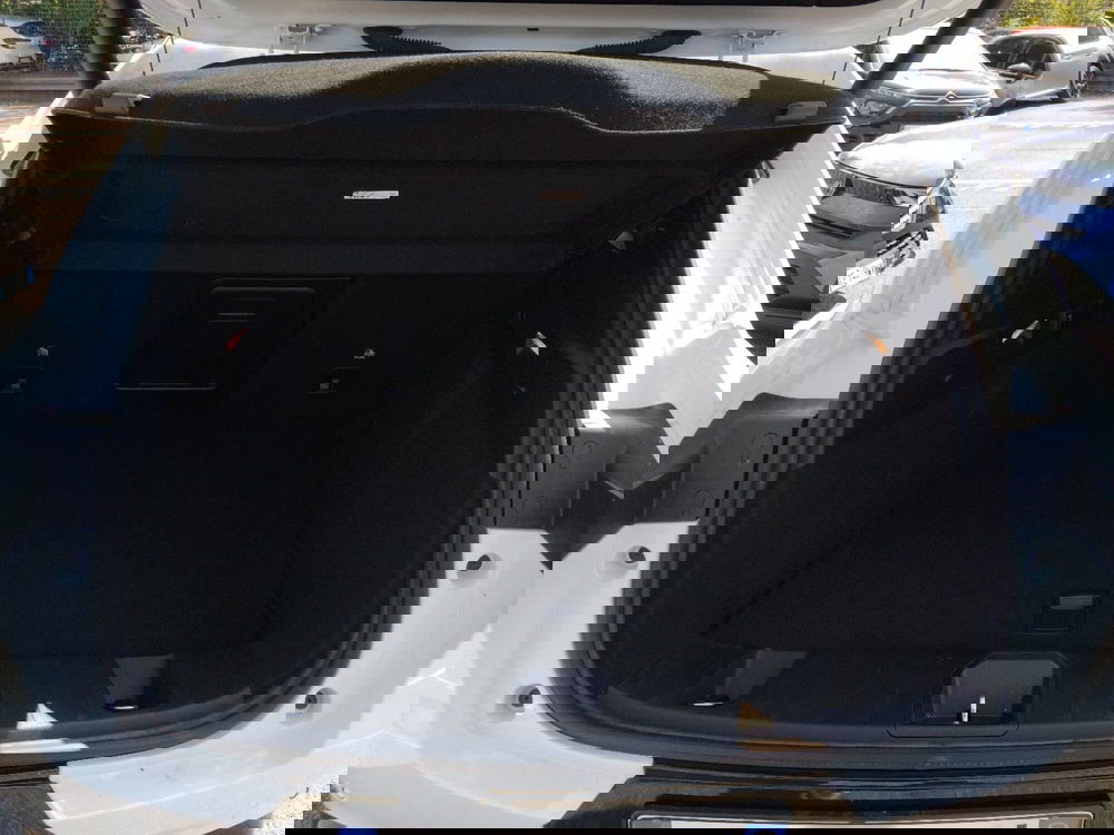 Alfa Romeo Tonale usata a Roma (10)