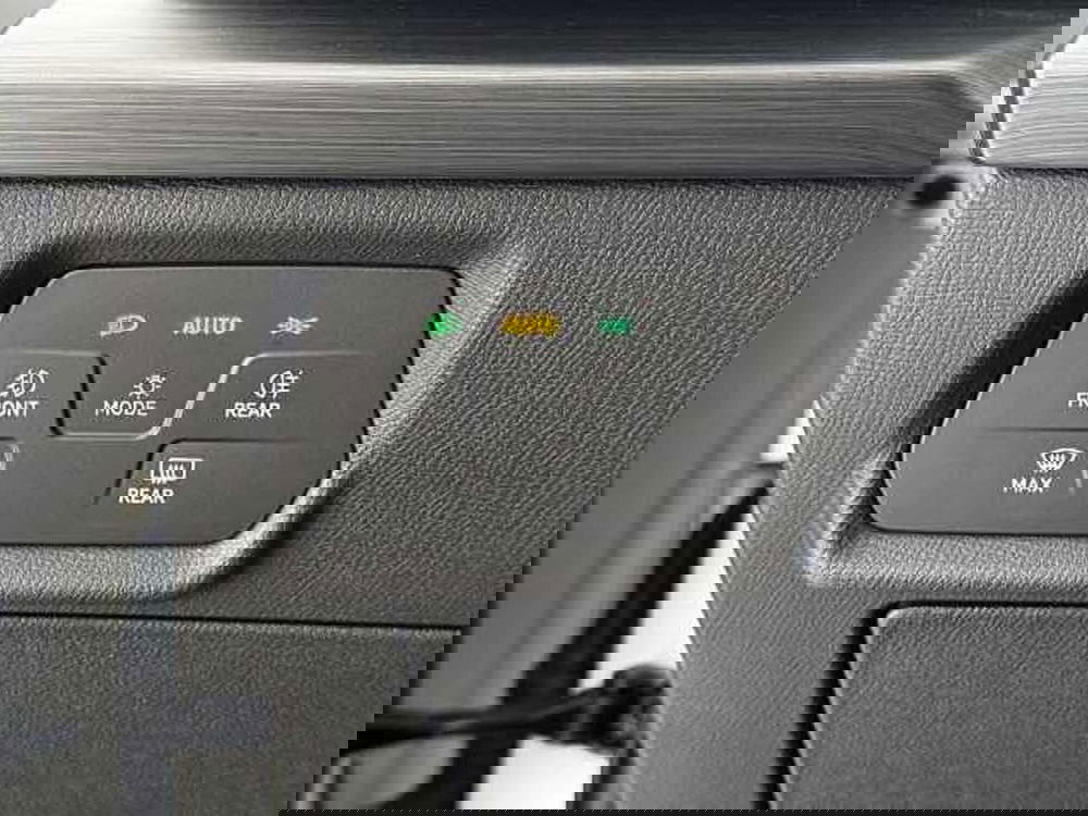 Cupra Formentor usata a Vicenza (13)