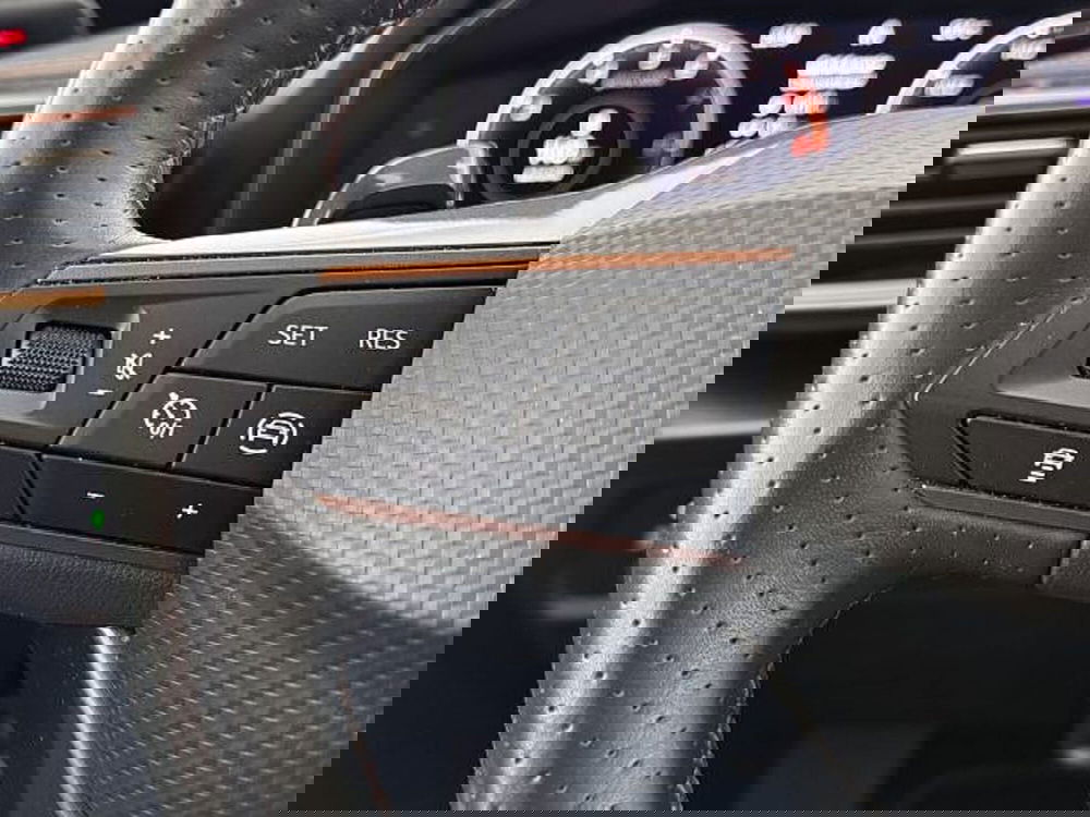 Cupra Formentor usata a Vicenza (18)