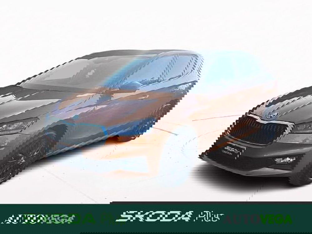 Skoda Fabia usata a Vicenza