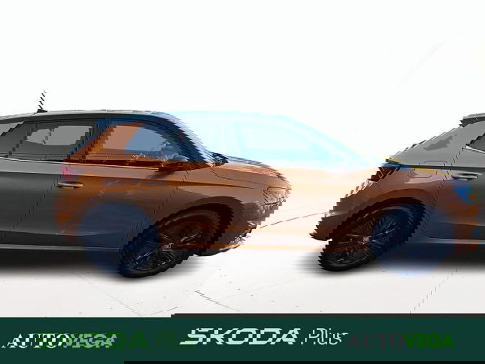 Skoda Fabia usata a Vicenza (3)