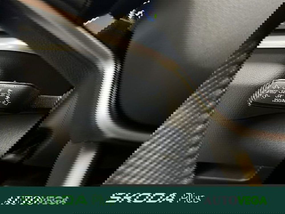 Skoda Karoq usata a Vicenza (18)