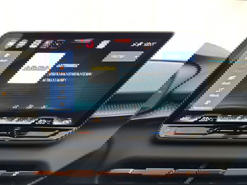 Cupra Terramar usata a Vicenza (15)