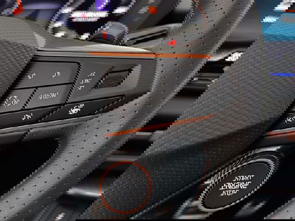 Cupra Terramar usata a Vicenza (18)