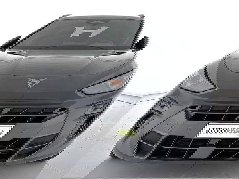 Cupra Terramar usata a Vicenza (2)