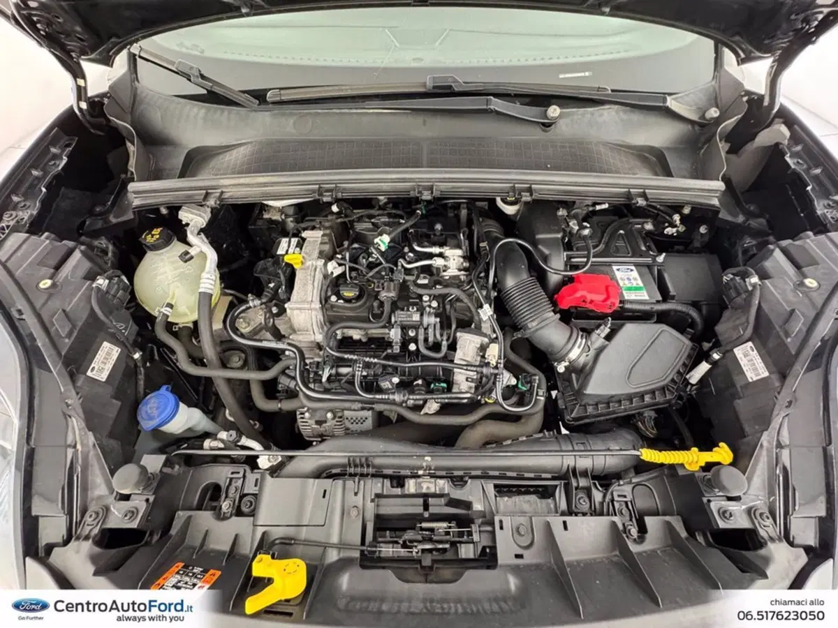 Ford Puma usata a Roma (12)