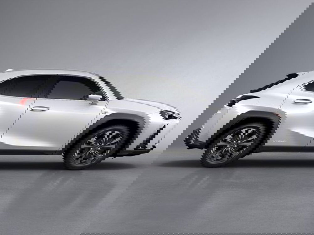 Lexus UX usata a Modena