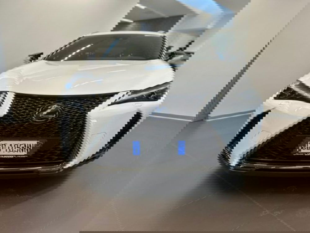 Lexus UX usata a Modena (11)