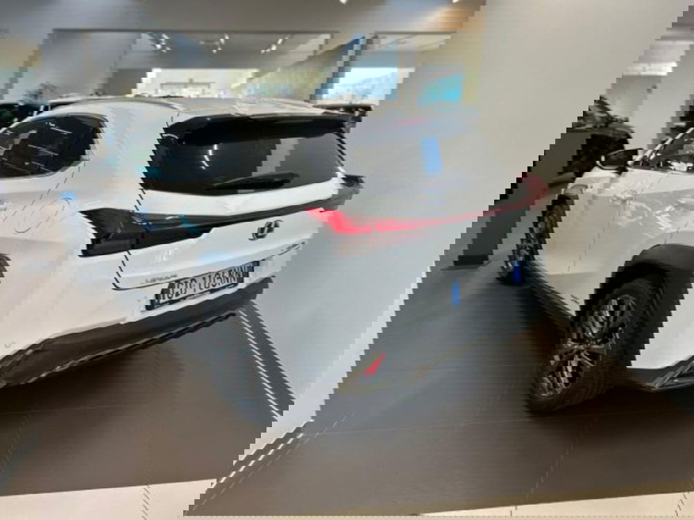 Lexus UX usata a Modena (2)