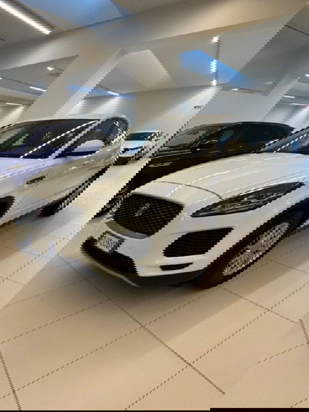 Jaguar E-Pace usata a Modena