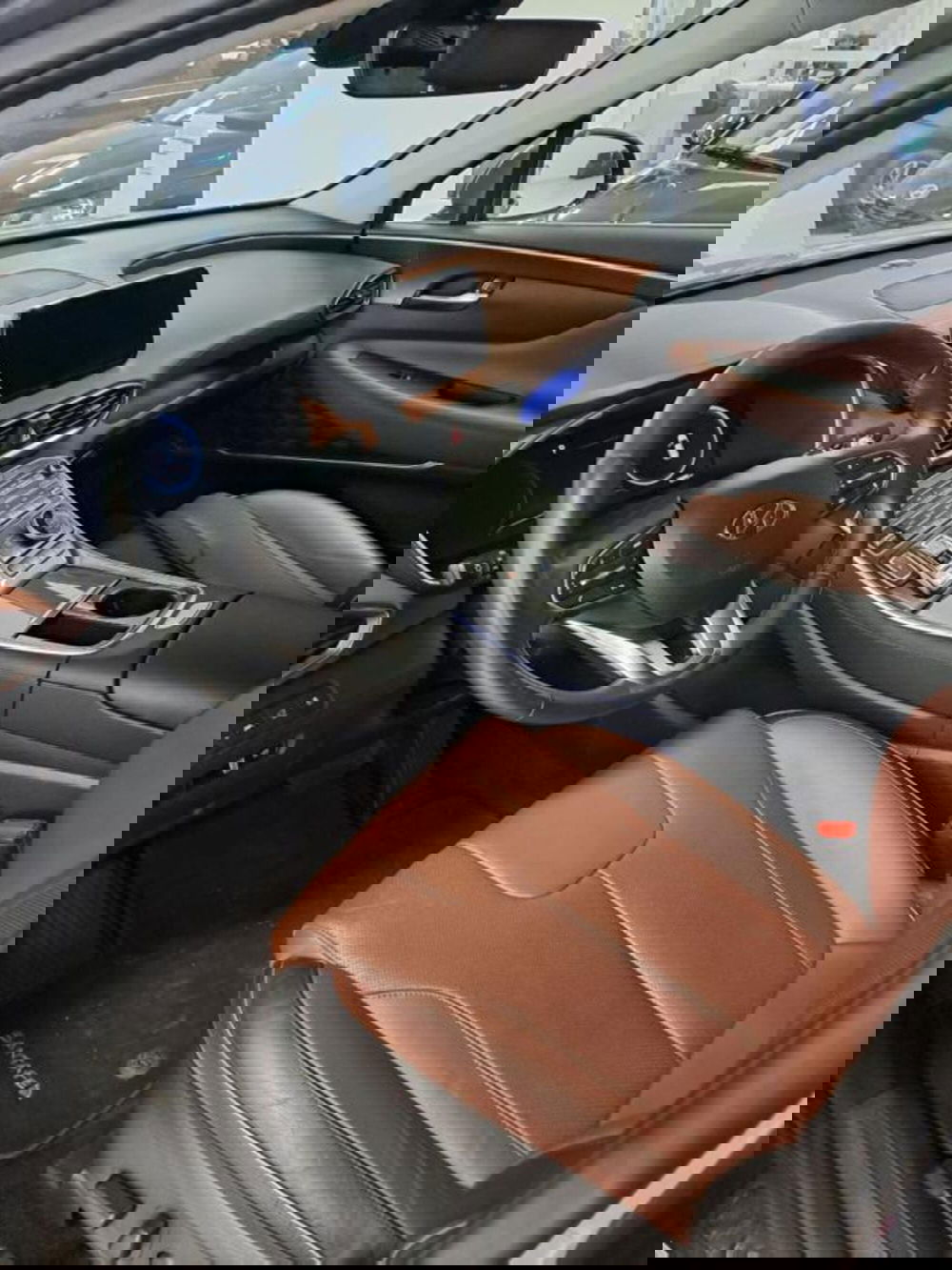 Hyundai Santa Fe usata a Parma (6)