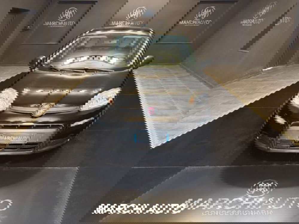 Fiat Panda usata a Perugia (2)