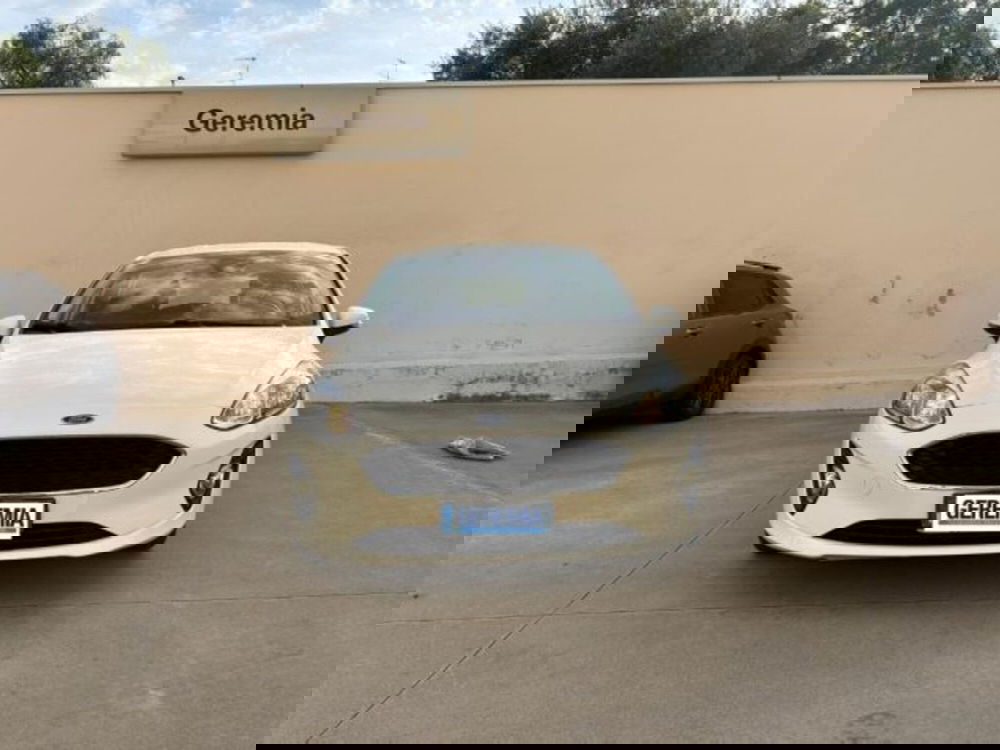 Ford Fiesta usata a Reggio Calabria