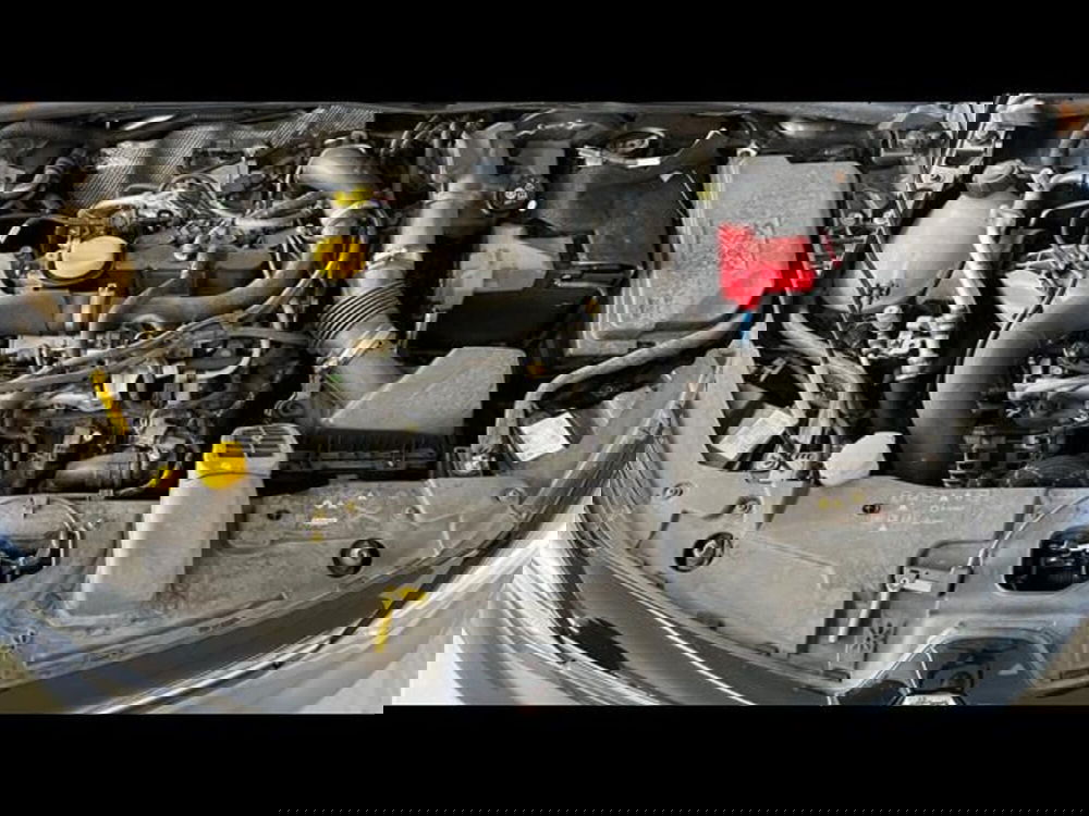 Renault Clio usata a Firenze (14)