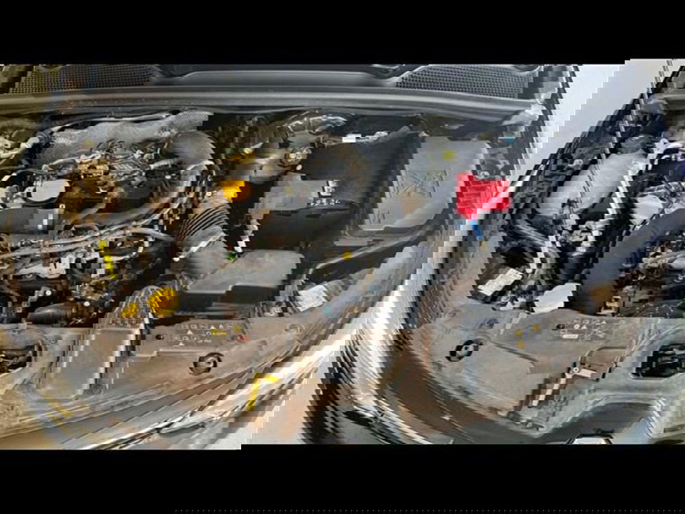 Renault Clio usata a Firenze (14)