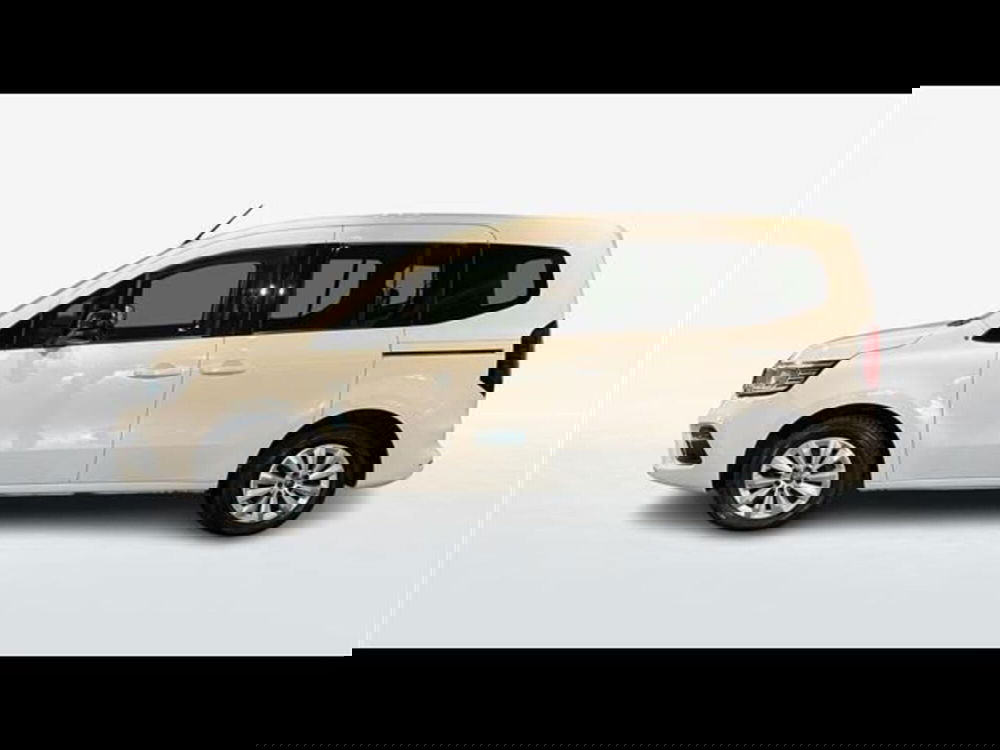 Renault Kangoo usata a Firenze (2)