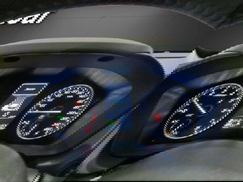 Subaru Crosstrek nuova a Novara (12)