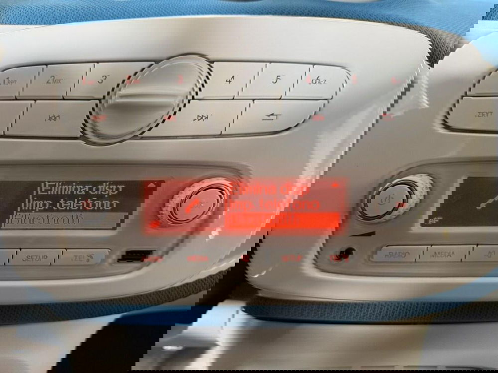 smart forfour usata a Monza e Brianza (14)