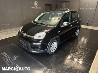 Fiat Panda 1.0 firefly hybrid s&amp;s 70cv 5p.ti del 2023 usata a Bastia Umbra