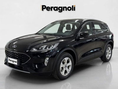 Ford Kuga 1.5 EcoBoost 120 CV 2WD del 2021 usata a Firenze